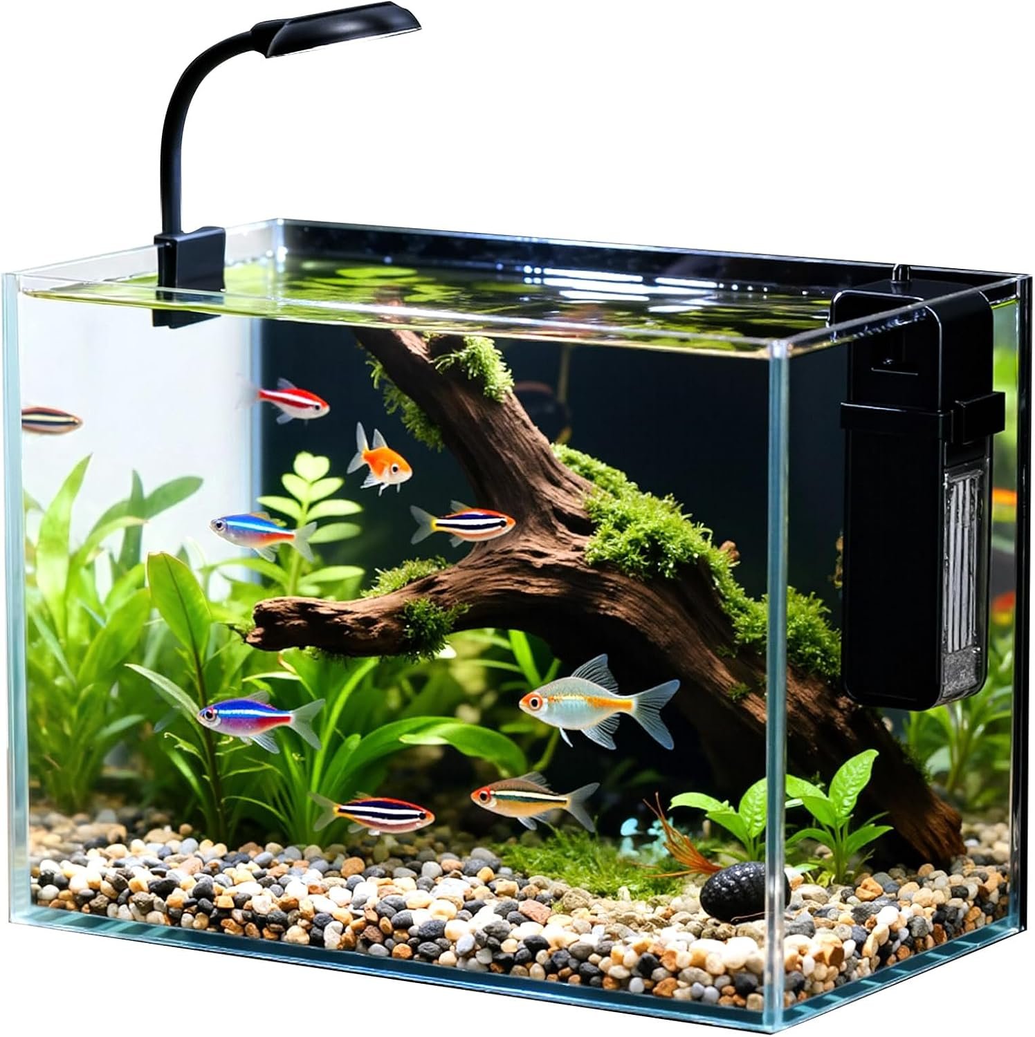 2.5 Gallon Small Fish Tank, Desktop Nano Aquarium with Filter