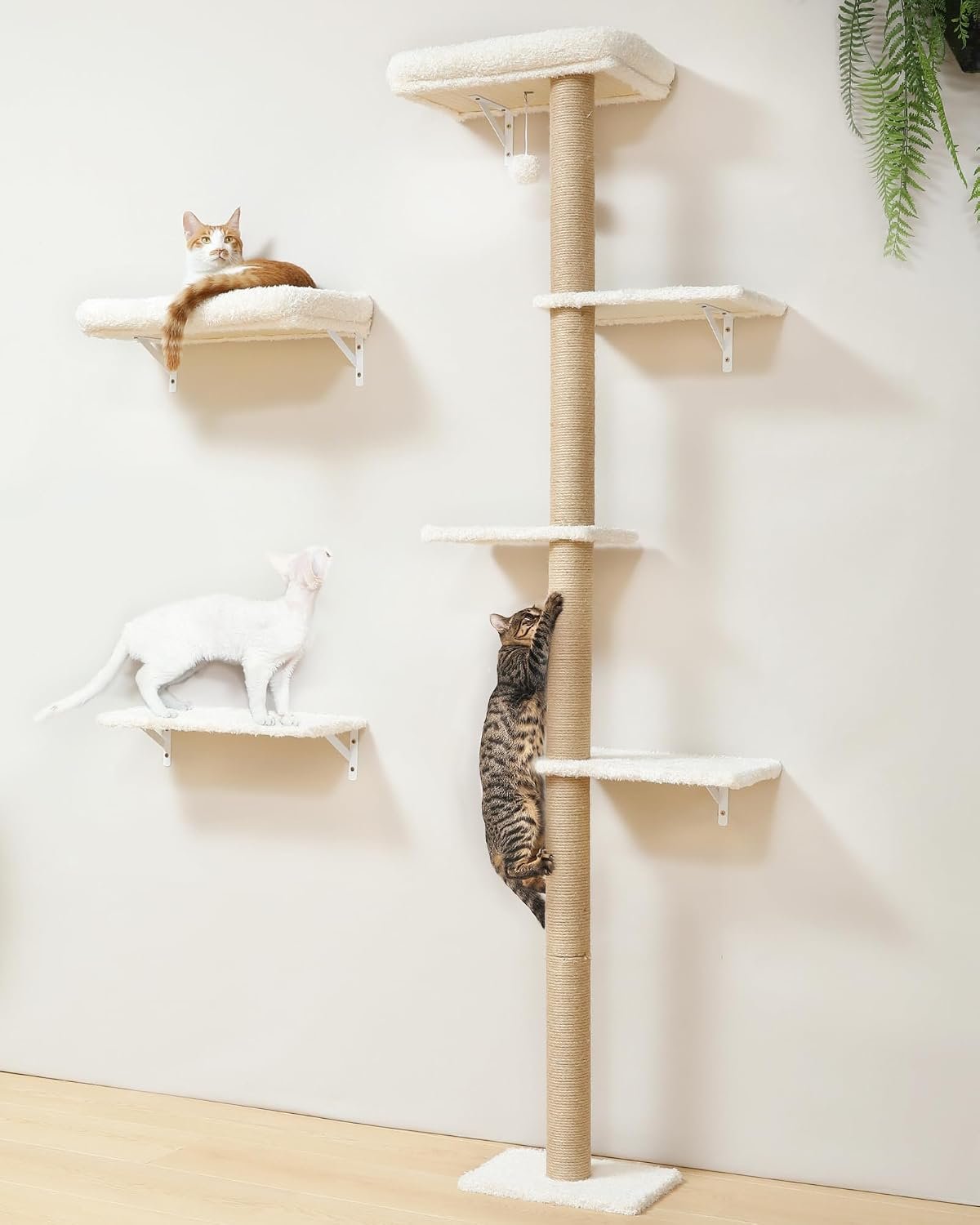 FUKUMARU Cat Wall Shelves Set, 70 inch Wall Mounted Tree, Beige