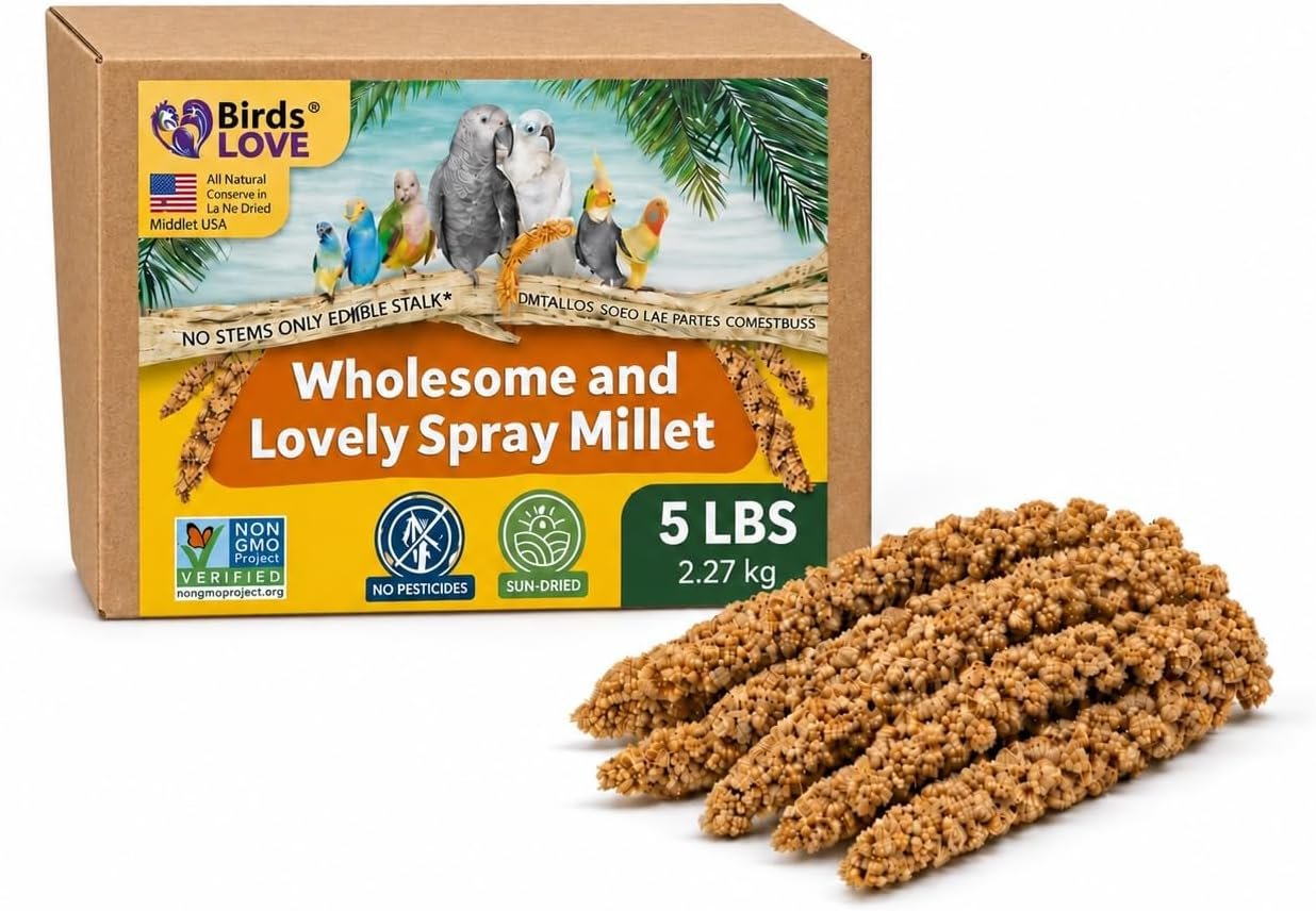 Birds LOVE 5 LB Wholesome Spray Millet for Birds – USA Grown,Non-GMO, Natural Sun-Dried Millet Sprays – Thick Seed-Rich Clusters for Parakeets, Budgies, Cockatiels, Conures, Finches & Parrots