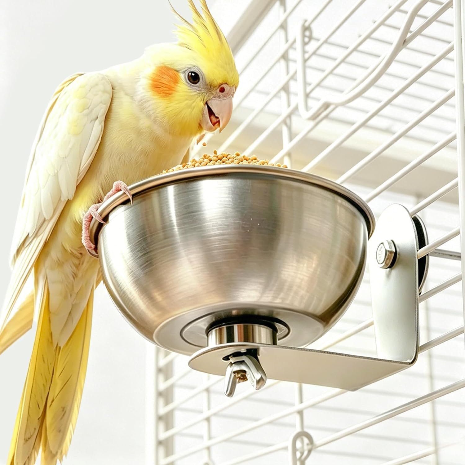 Stainless Steel Magnetic Bird Feeding Bowl, Parrot Food Water Cup for Small & Medium Parrots, Anti-Spill Cage Feeder for African Grey, Cockatiel, Conure