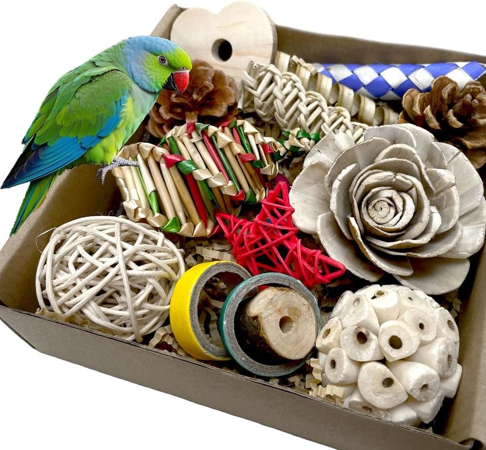 Bird Toys Parrot Toys Natural Bird Foraging Box Foot for Parakeets,Cockatiels,Conures,Love Birds,and Other Small to Medium Birds (Medium)