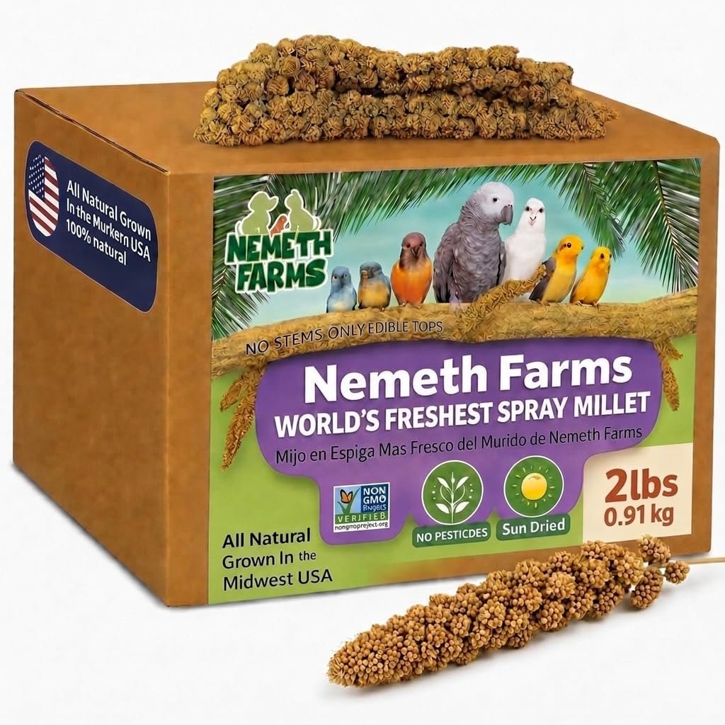 Nemeth Farms Spray Millet – Edible Tops Only, Non-GMO and Sun-Dried – 2 lbs for Cockatiels, Lovebirds and Budgies