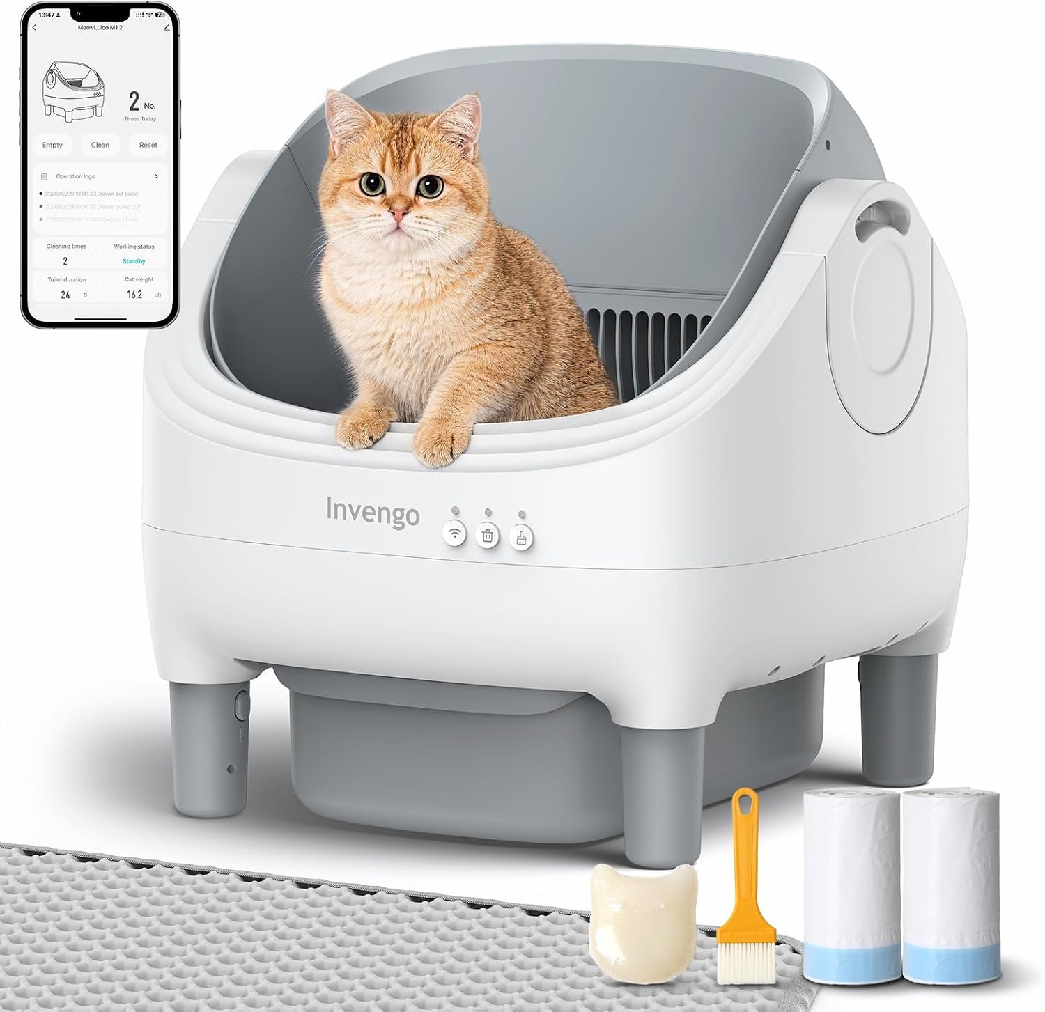 Automatic Litter Box, Open-Top Self-Cleaning Litter Box for Multiple Cats