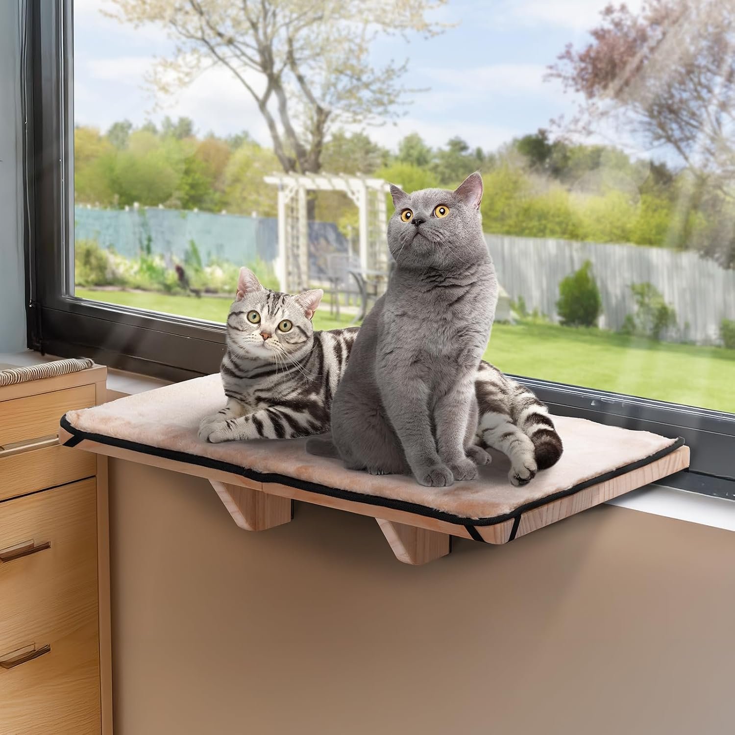 PETSFIT Cat Window Perch for 2 Cats, Adjustable, Solid Wood, Removable Mat