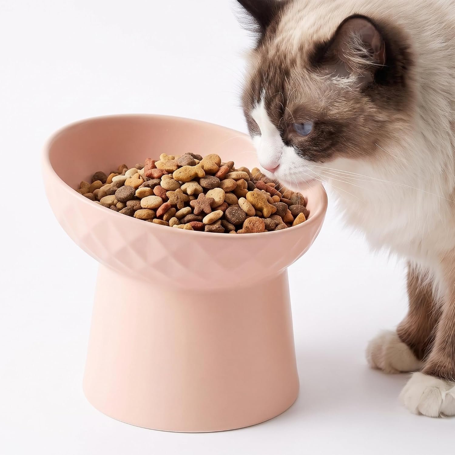 Casfuy 15° Tilted Ergonomic Whisker-Friendly Elevated Ceramic Cat Bowl, Pink