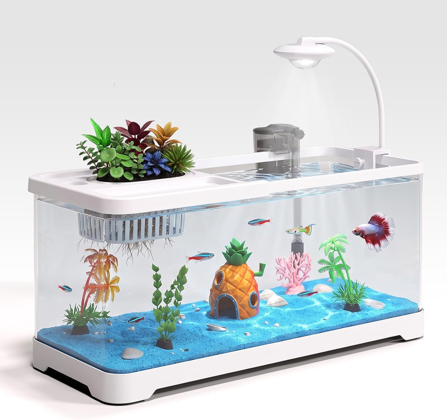 5 Gallon Fish Tank Aquarium Starter Kit with Filter and Light(Large White)