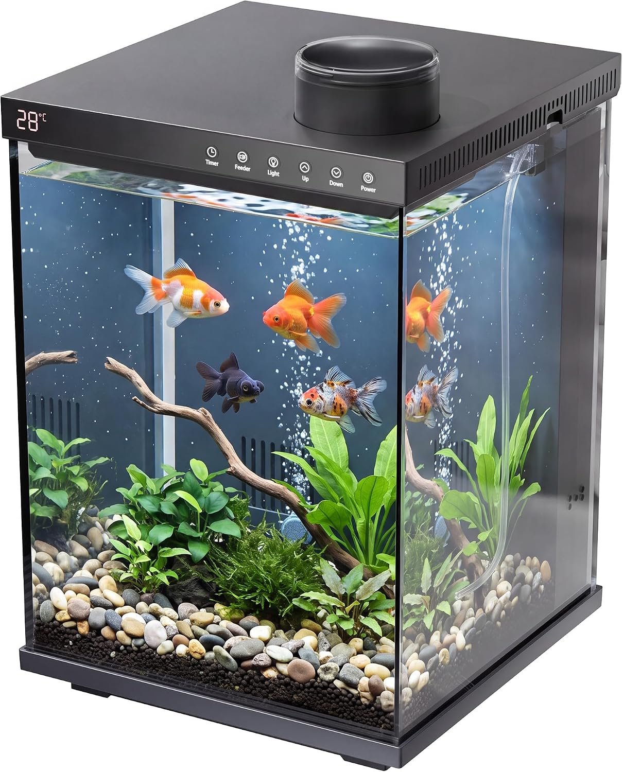 4 Gallon Fish Tank with Auto Feeder, 3-in-1 Filter, Full-Spectrum LED Light