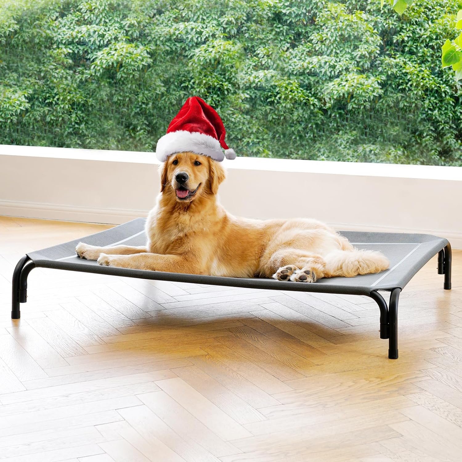 Elevated Dog Bed Outdoor Cooling Raised Cot for XL Dogs, Gray 48.8in