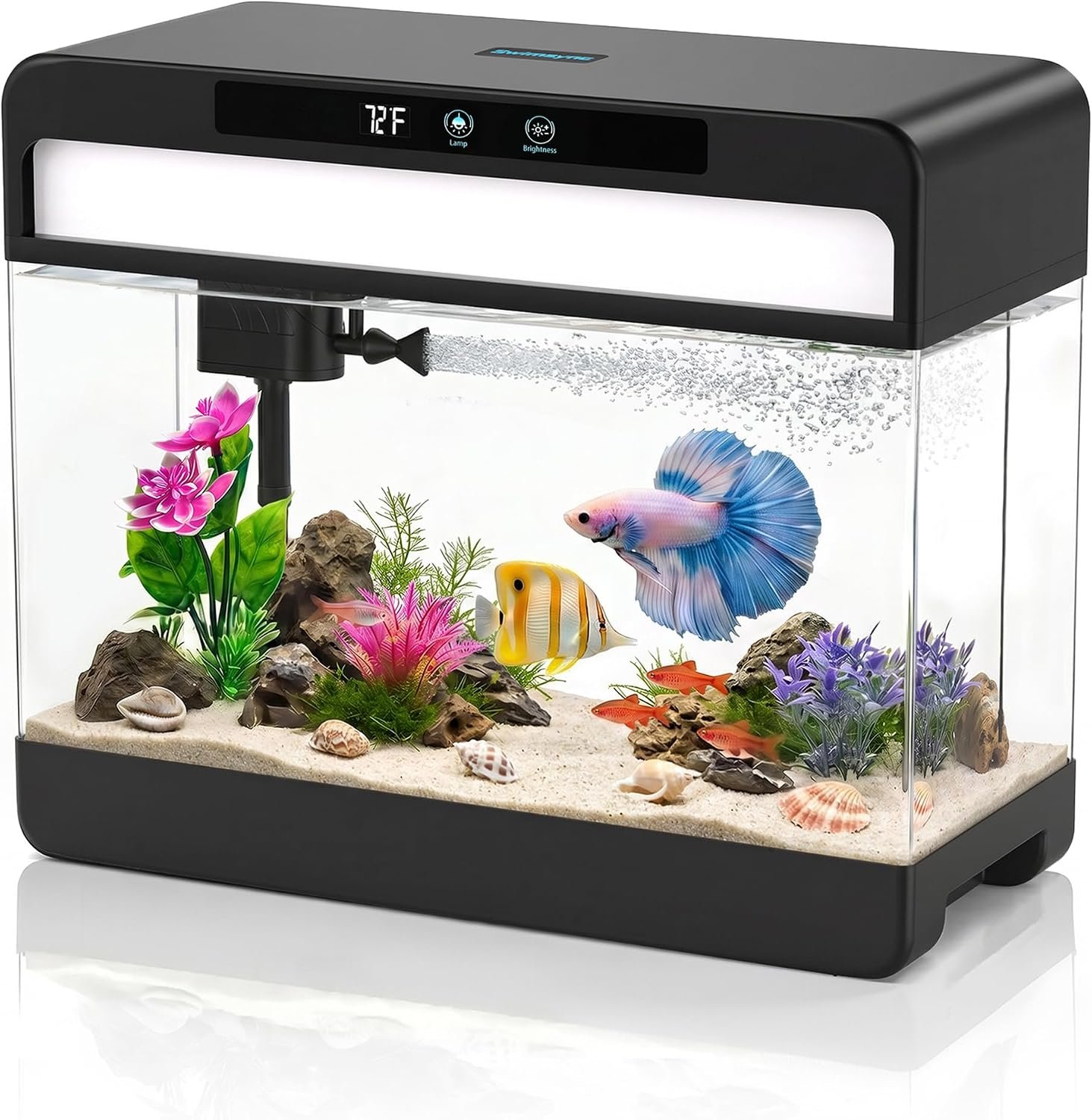 3 Gallon Fish Tank Starter Kit, Beginner Aquarium for Betta, Black