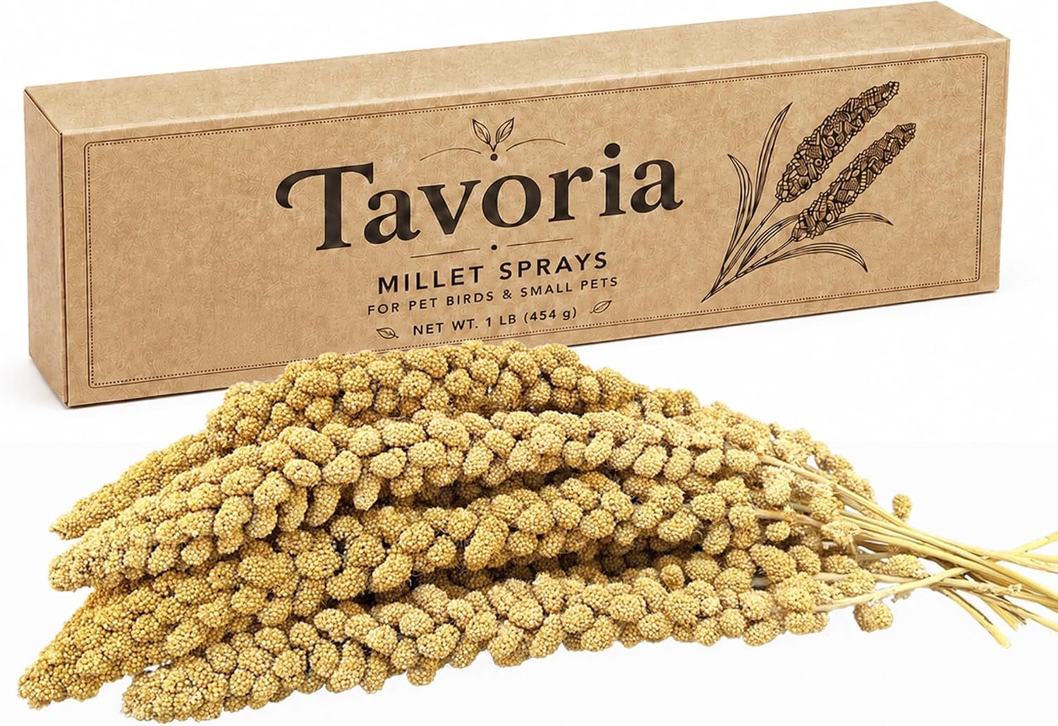 Millet Spray for Birds, 1 LB Natural Sun-Ripened Bird Treats