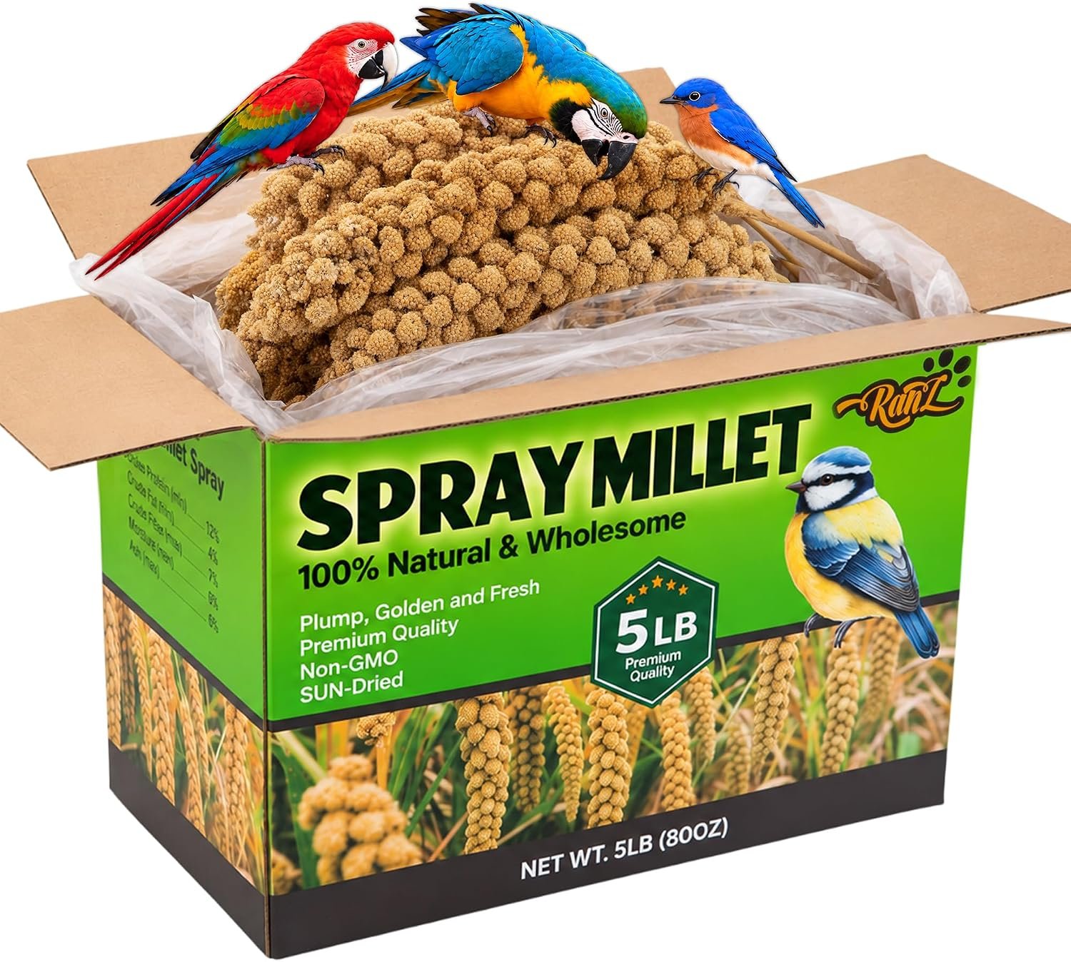 RANZ 5LB Spray Millet for Birds, Natural Sun-Dried Treat for Parakeets & Parrots