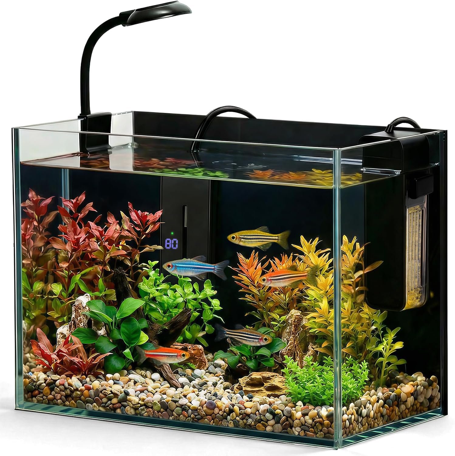 2.5 Gallon Small Fish Tank, Nano Aquarium with Heater