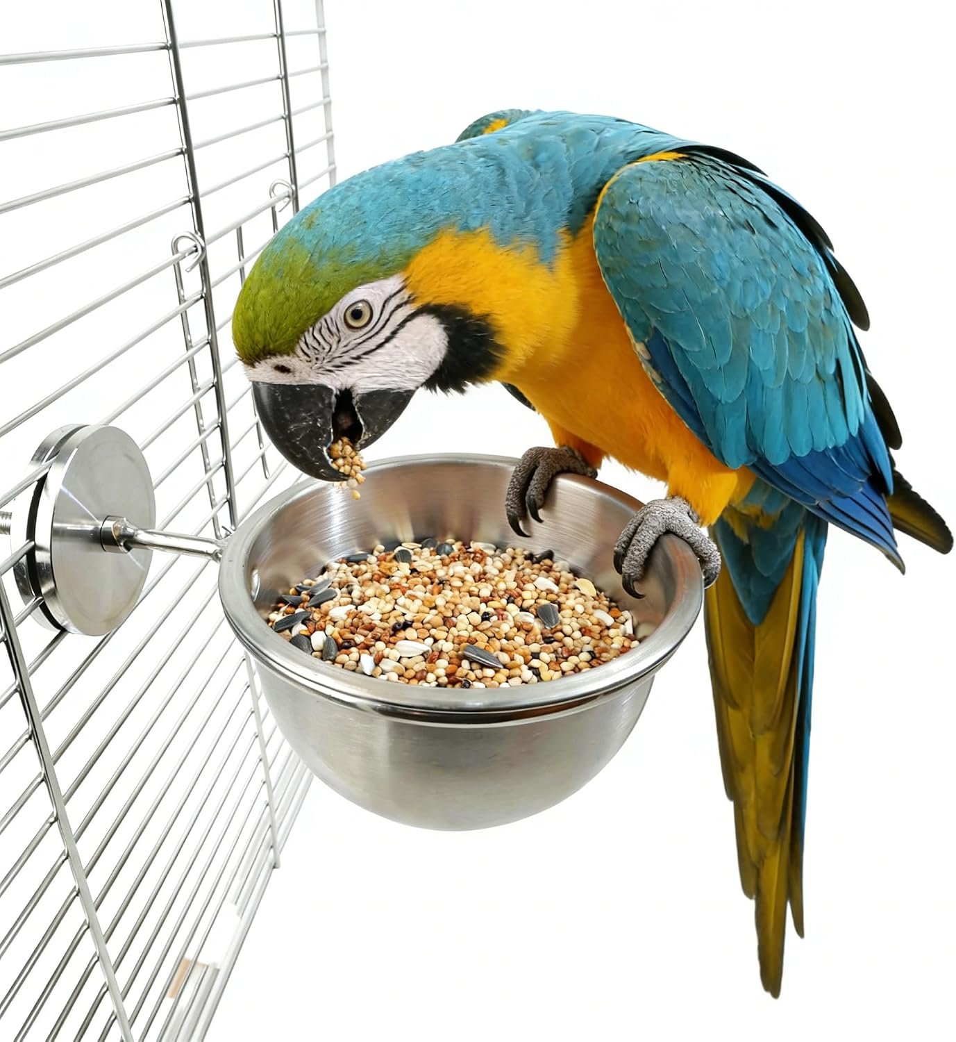 AOTU Anti Tip Stainless Steel Parrot Feeding Bowl – Locking Bird Food & Water Bowls for Cage, Bird Cage Accessories for Chinchilla, Cockatiel, Conure, Budgie, Macaw, Gray Parrot & Small Pets (L)
