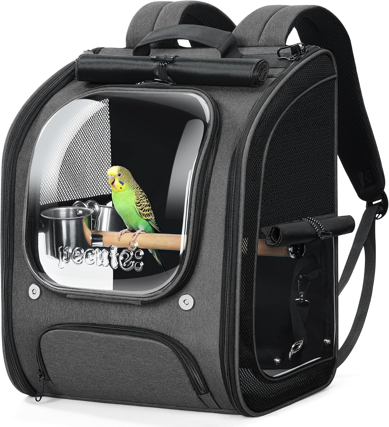 Pecute Bird Backpack Carrier with Standing Perch for Small Parrot, Grey