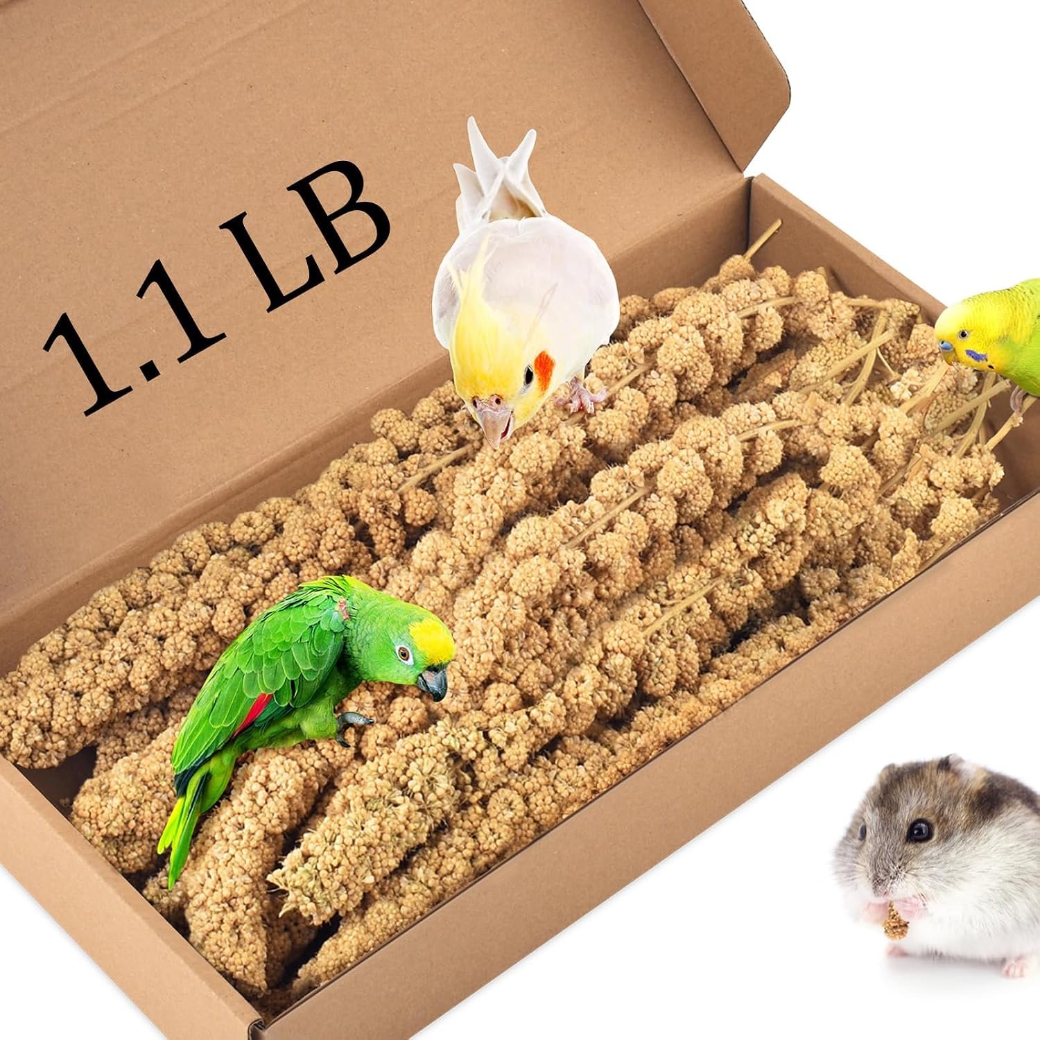 KATUMO 1.1LB Spray Millet Treat, Sun-Dried Bird Food for Parakeet Conure