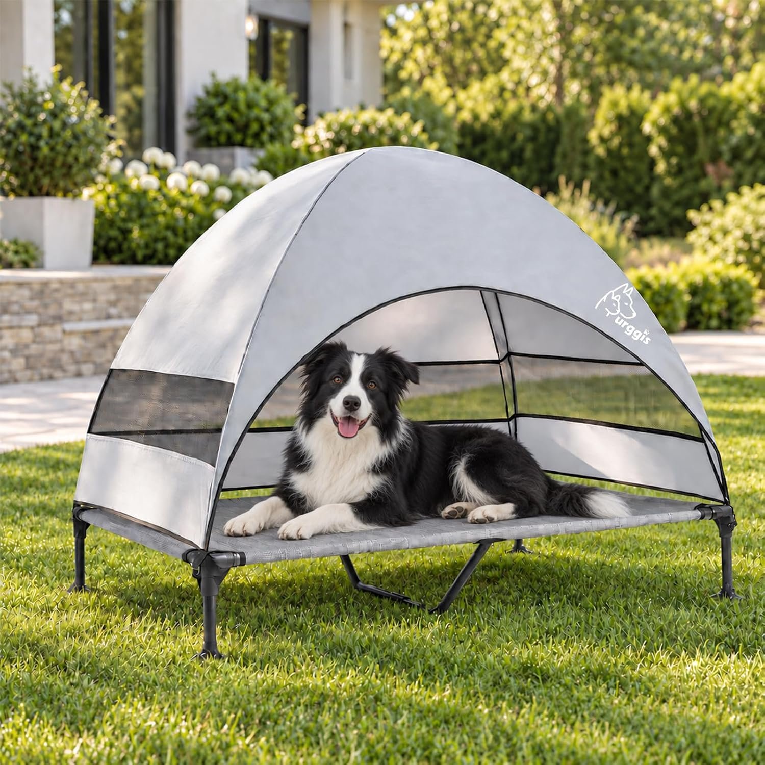 Elevated Dog Bed with Canopy Raised Outdoor Dog Shade Camping Cooling Cot