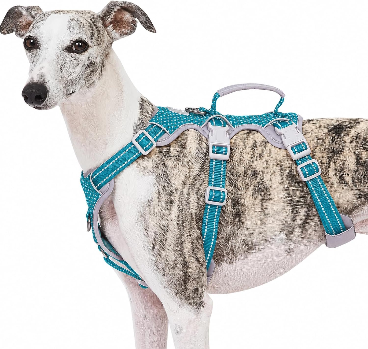 Huntboo Escape Proof Dog Harness, No Pull Reflective Harness with Lift Handle, Adjustable Pet Vest with Front and Back Leash Clips for Small Medium Large Dogs Walking Hiking Training (Teal,L)