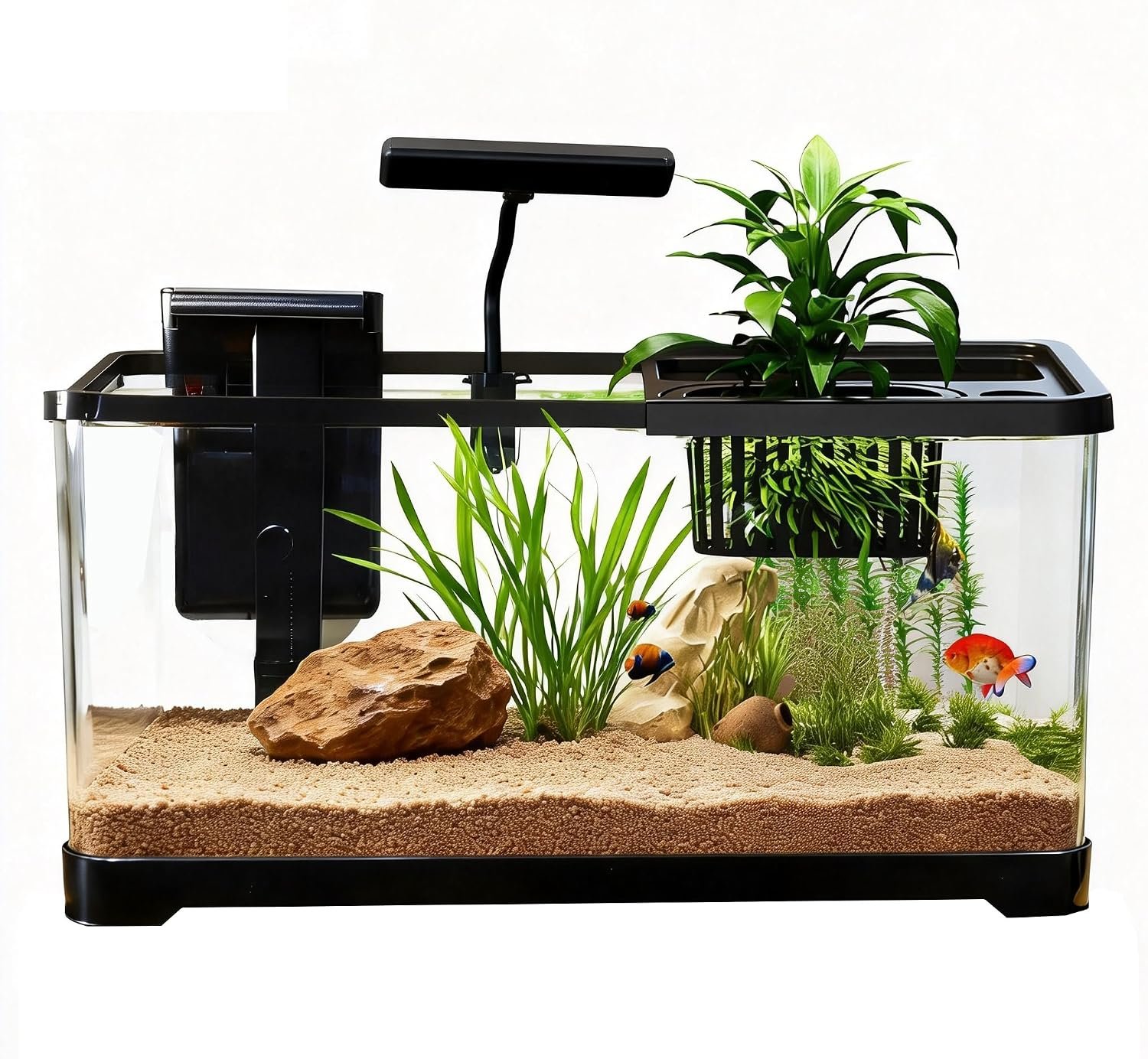 5 Gallon Fish Tank, Aquarium Plastic Starter Kit with Filter, Aquarium Net and LED Light, Fish Tank for Betta, Plastic Nano Aquarium with Lid(18.5 * 7.87 * 8.07 inch/Black) (5 Gallon Fish Tank)