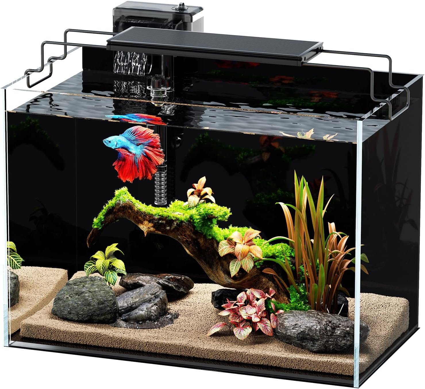 5 Gallon Fish Tank Aquarium Kit with Filter Light with Timer, Rimless Glass