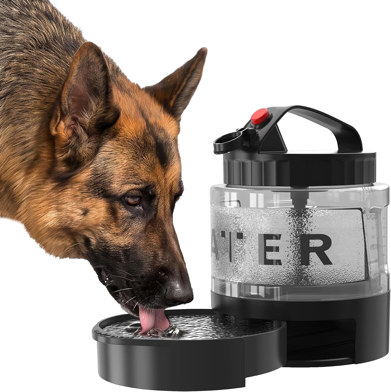 Portable Dog Water Bottle with Travel Bowl, 56 oz/1.6 L, Black