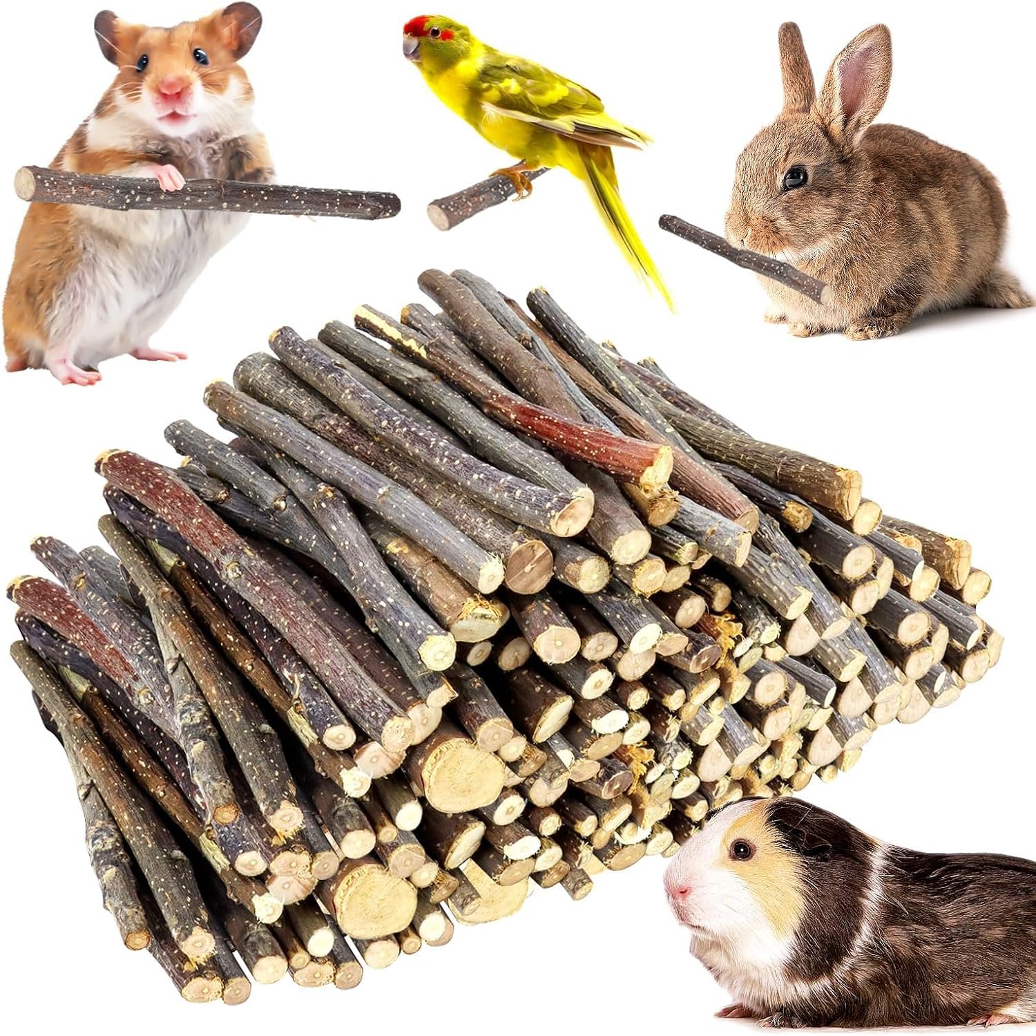 2lb Small Apple Sticks for Small Animals
