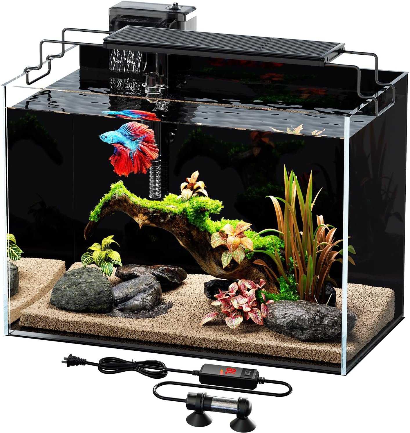 5 Gallon Fish Tank Kit with Heater Filter Light with Timer, Rimless Glass