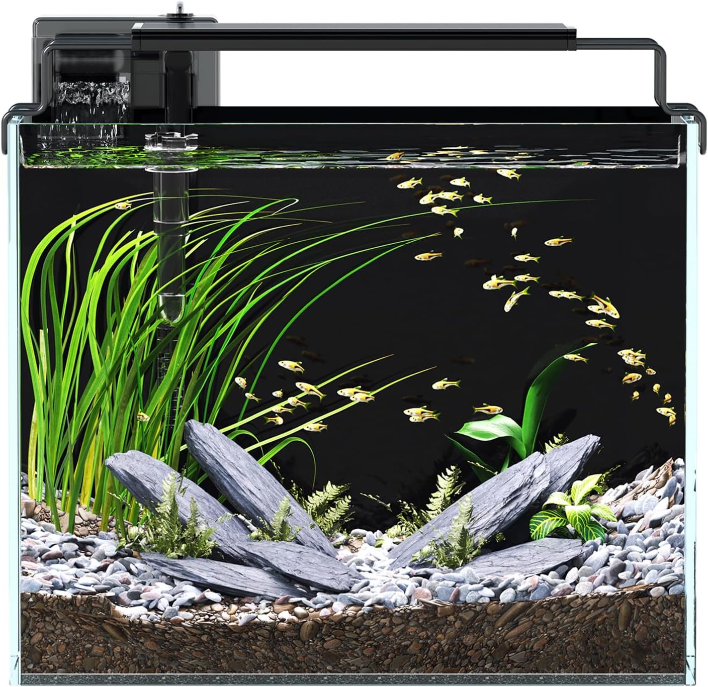 3 Gallon Fish Tank Aquarium Starter Kit with Filter Light Lid Rimless Glass