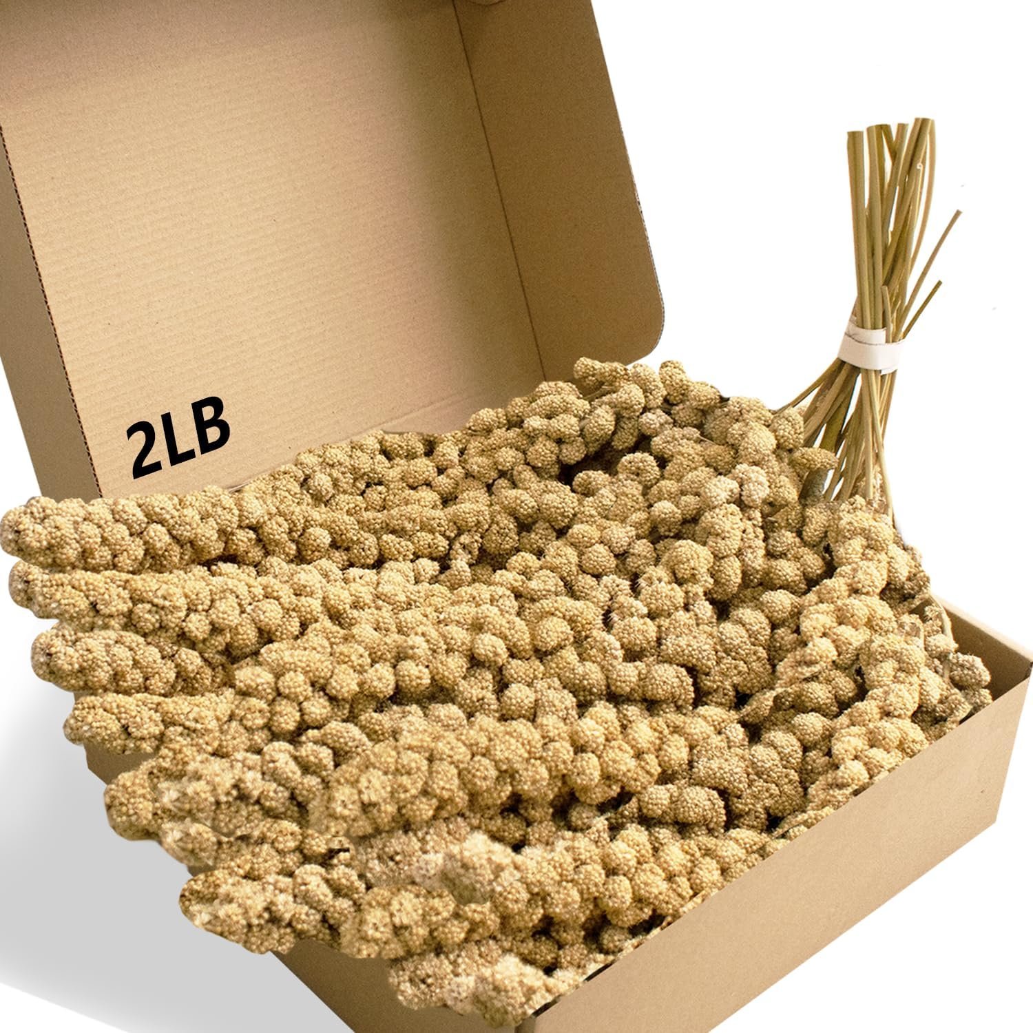Spray Millet Treat for Birds Parakeets, Millet for Birds, Natural Bird Food