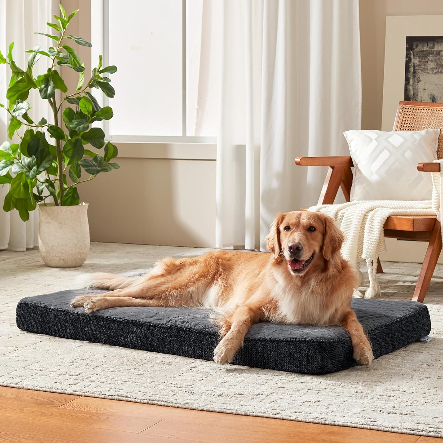 JOEJOY Orthopedic XL Dog Bed for Large Dogs, Waterproof Dog Beds for Crate