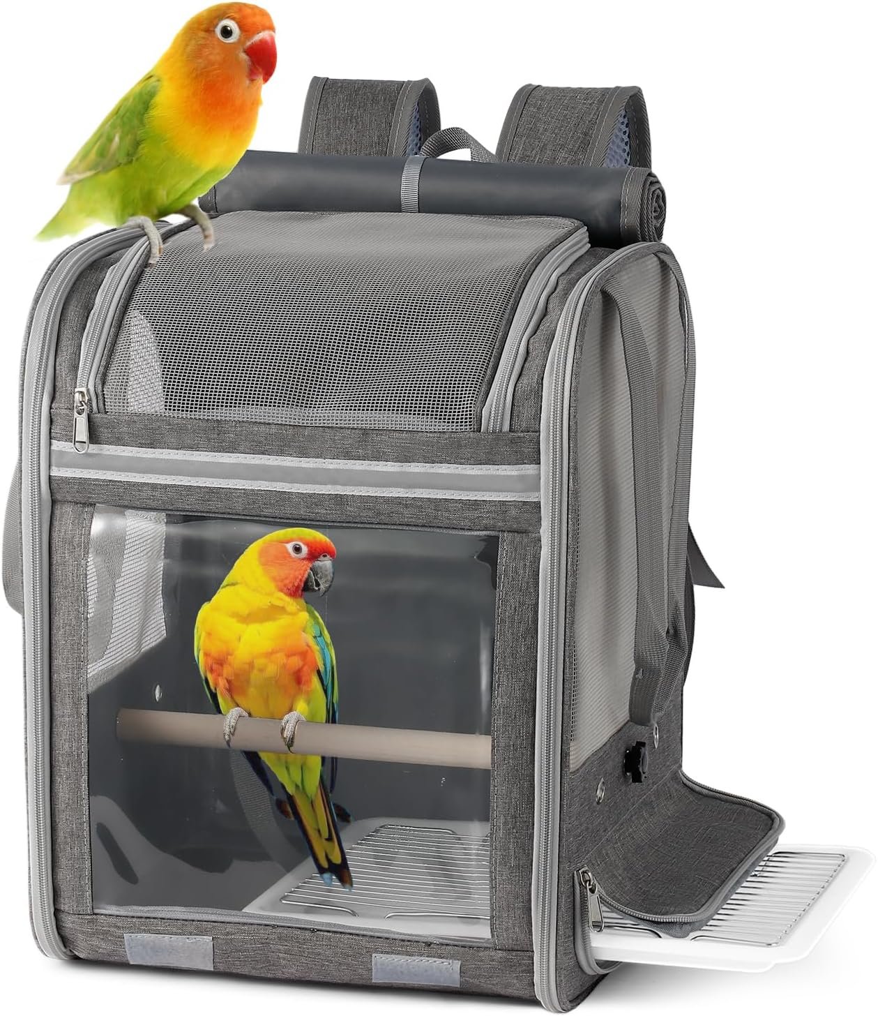 Bird Carrier Backpack Large Parrot Travel Cage with Perch