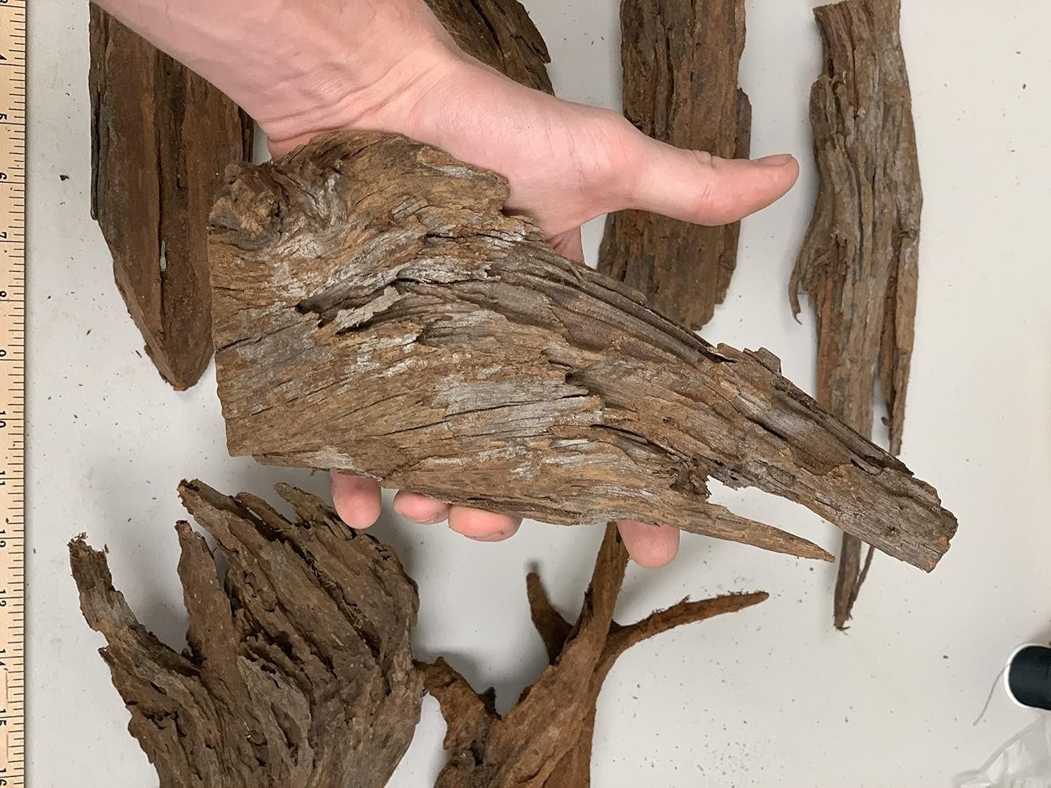 2 Malaysian Driftwood Pieces for Aquarium Natural Wood Drift Wood
