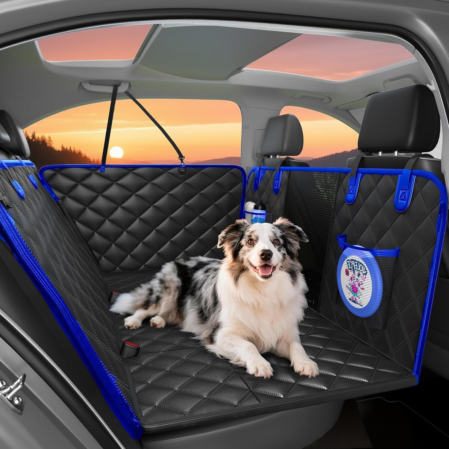 Hard Bottom Dog Car Seat Cover for Back Seat Black Blue