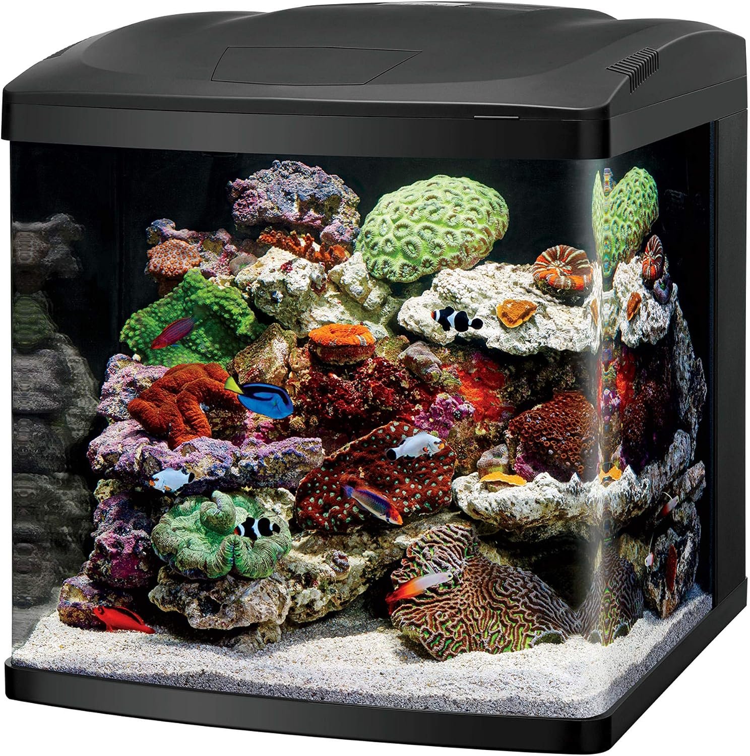 Coralife BioCube, Aquarium Kit, Integrated 24-hour Timer, Customizable LED Lighting, for Saltwater and Freshwater Environments, 32 Gallon