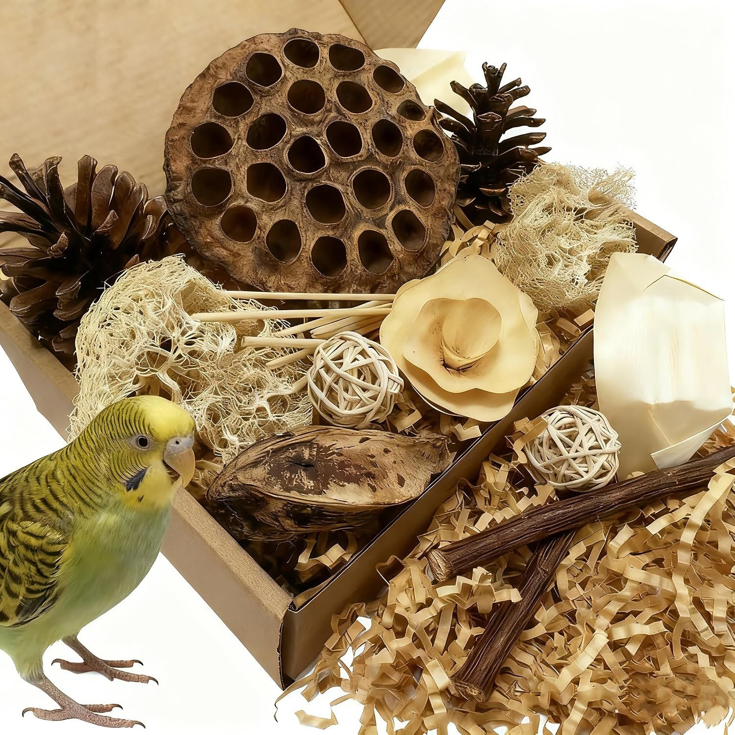 Bird Pet Toys – Lotus Pod Foraging Box, 10 Natural Ingredients | Chewing and Shredding Parrot Toys | Ideal for Parakeets/Cockatiels/Conures/Lovebirds and Small to Medium Birds