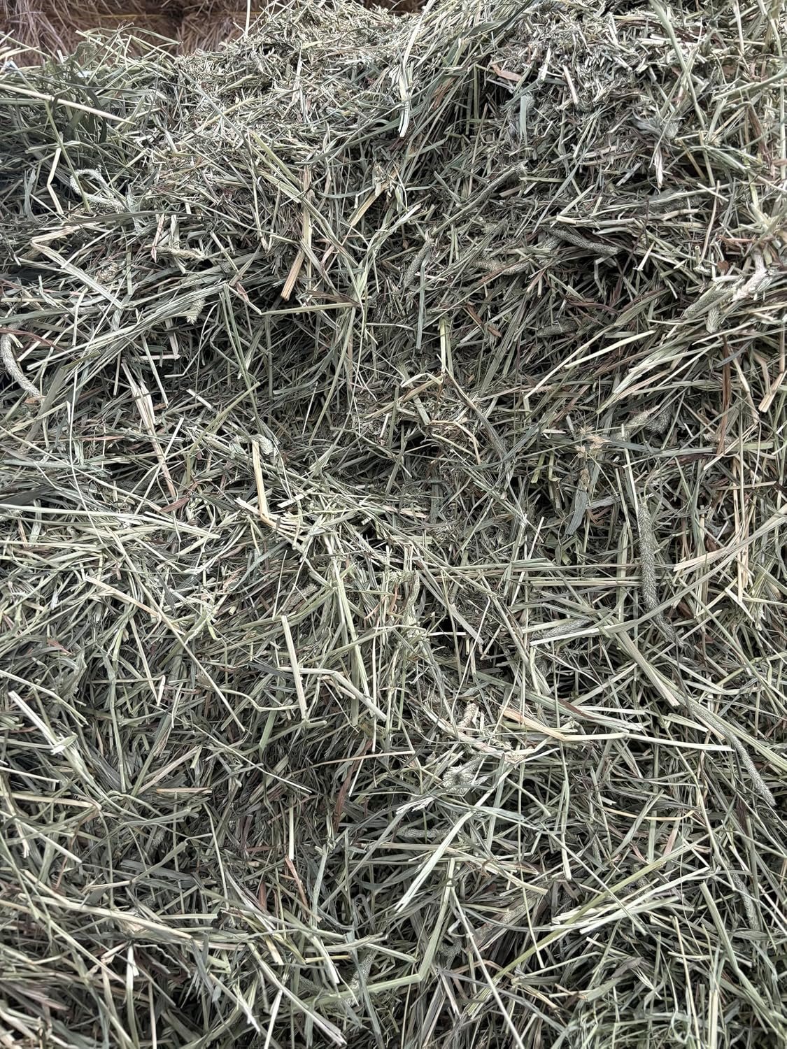 High Desert Meadow Grass Hay for Rabbits, Guinea Pigs, Chinchillas, 4 lb